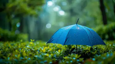 The Pros and Cons of Term vs. Whole Life Insurance