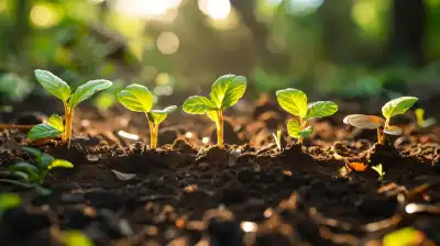 The Shift to Sustainable Investing: Why It Matters